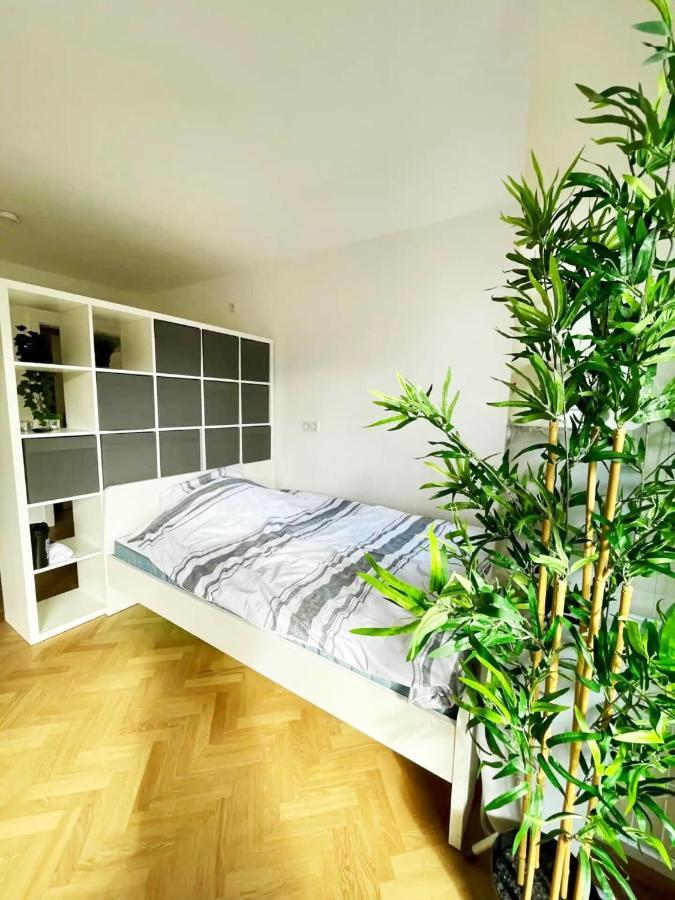 Cozy Apartment With Kitchen + Balcony New! エッセン エクステリア 写真